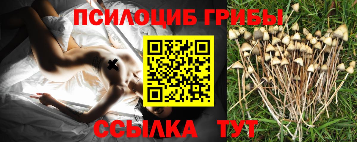Псилоцибиновые грибы прущие грибы Гусиноозёрск