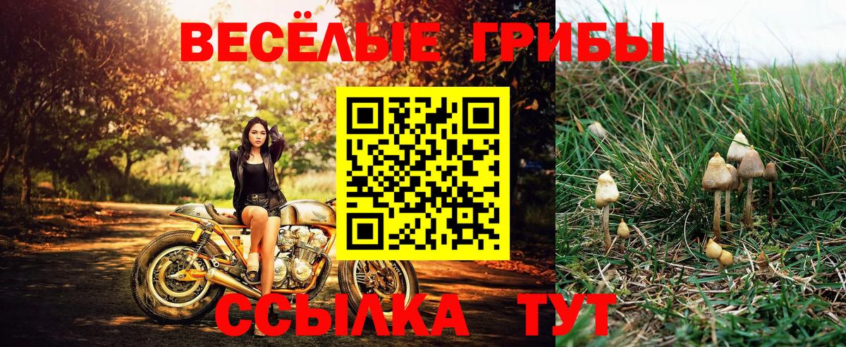 Псилоцибиновые грибы Magic Shrooms  где купить наркоту  Гусиноозёрск  Вход с VPN 